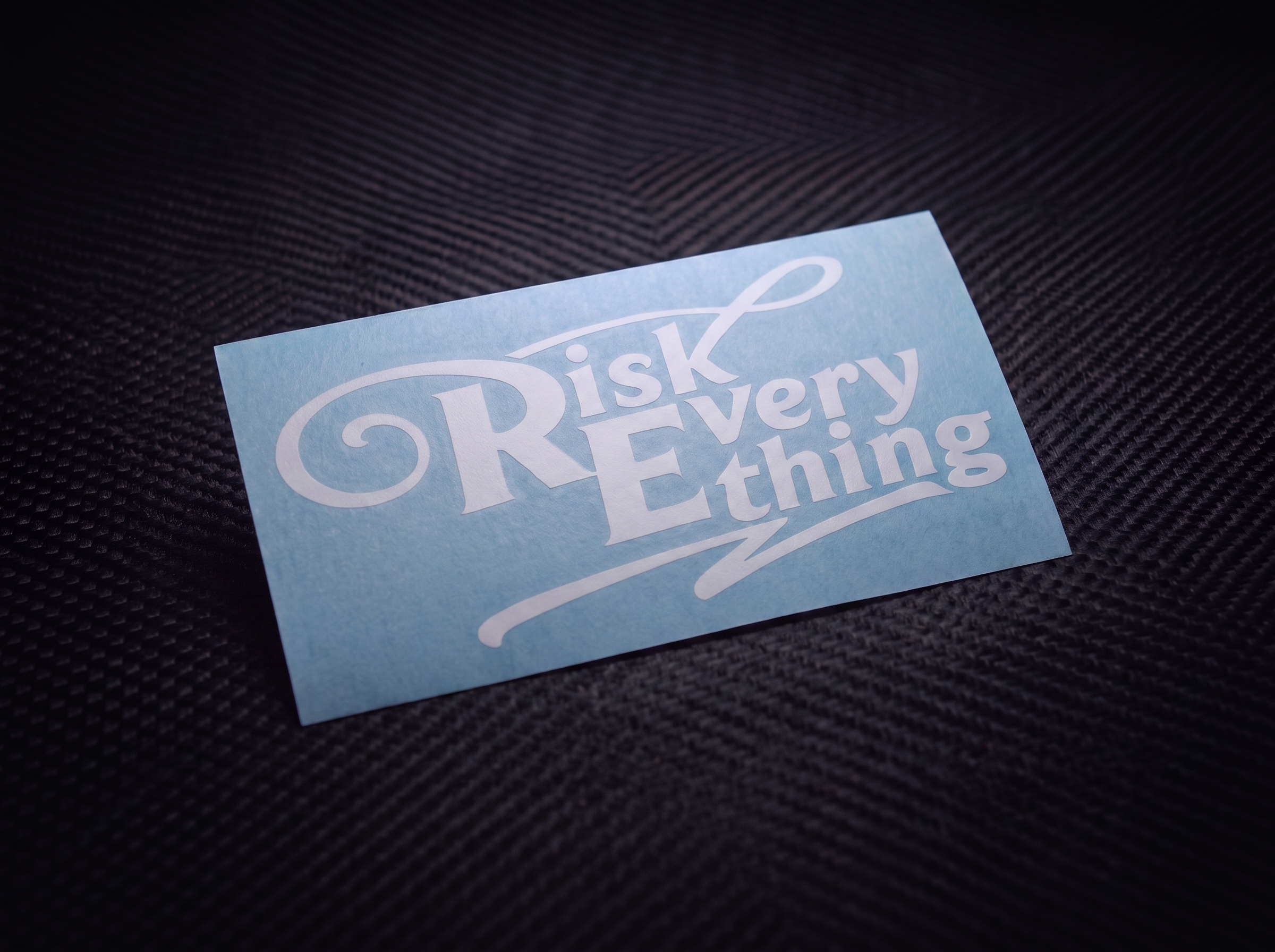 Liz&C's RiskEverything Sticker