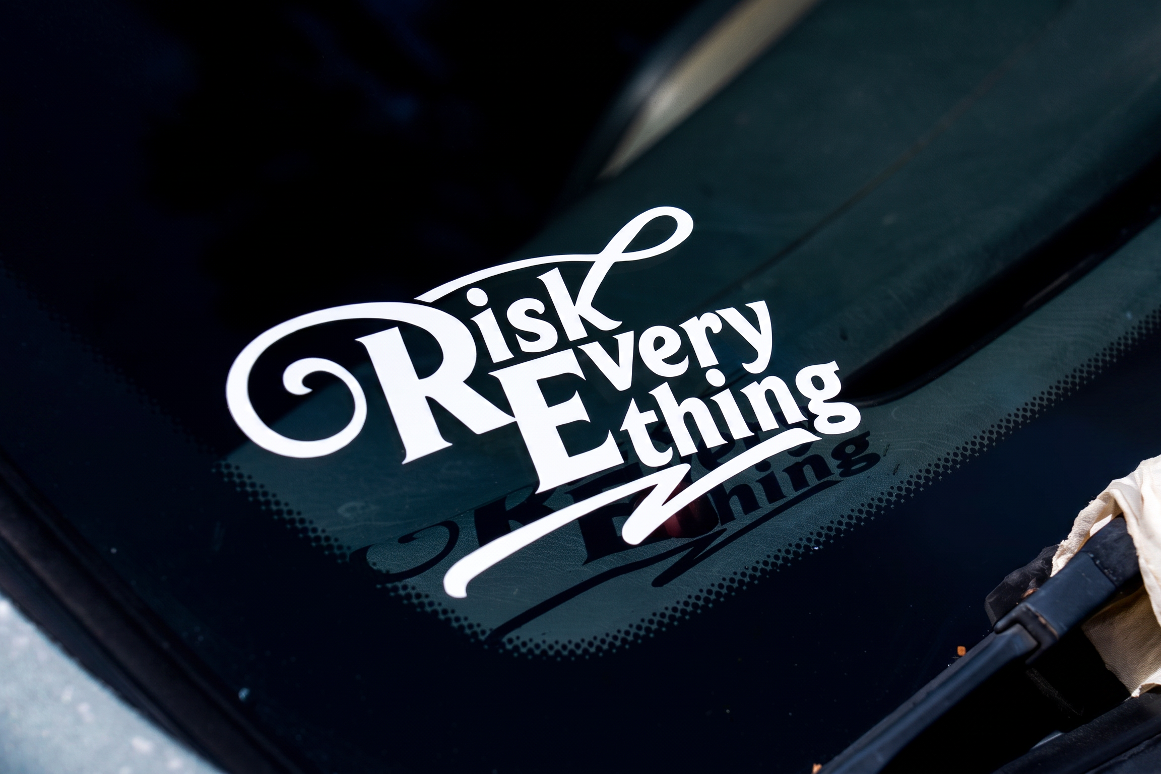 Liz&C's RiskEverything Sticker